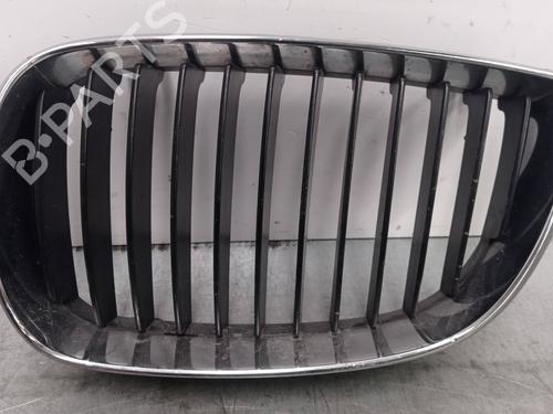 Grill BMW 1 (E87) 116 d (116 hp) 14220564
