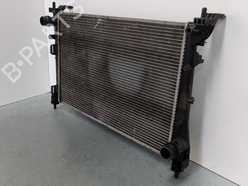 Water radiator FIAT DOBLO Cargo (263_) 1.3 D Multijet | BP11398750M31 