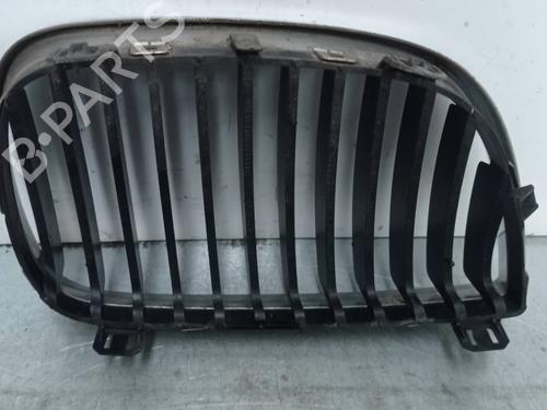 Grille BMW 1 (E87) 120 d | BP14220737C40 