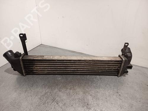 Intercooler NISSAN KUBISTAR Van (X76) dCi 85 | BP40226459M30 - Image 6