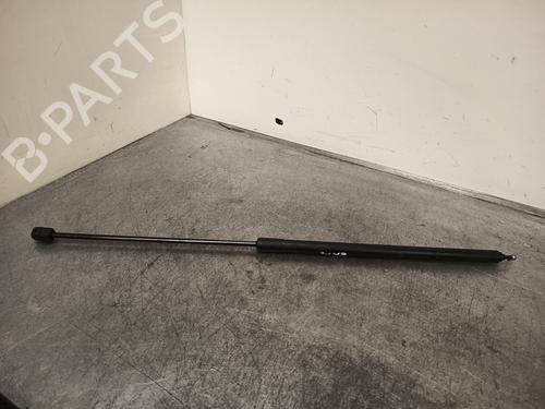 Used Hood lift support RENAULT MEGANE III Hatchback (BZ0/1_, B3_) 2.0 TCe (BZ0K) (180 hp) 27882995