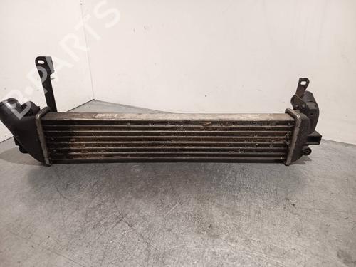 Intercooler NISSAN KUBISTAR Van (X76) dCi 85 | BP40226459M30 - Image 4