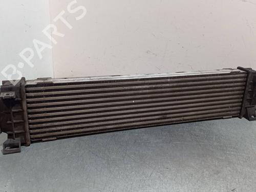 Intercooler FORD KUGA I [2008-2012]  31211025