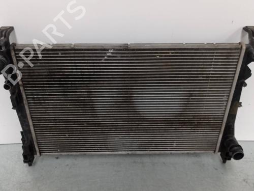 Water radiator FIAT DOBLO Cargo (263_) 1.3 D Multijet | BP11398750M31 