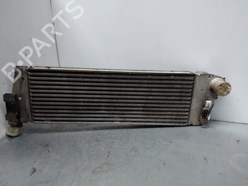 Used Intercooler RENAULT MEGANE II Estate (KM0/1_) 1.9 dCi (KMRG, KM1G, KM0G, KM2C) (120 hp) 2250643