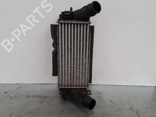 Ladeluftkühler für FORD FIESTA VI (CB1, CCN) 1.0 EcoBoost (100 hp) 6470097