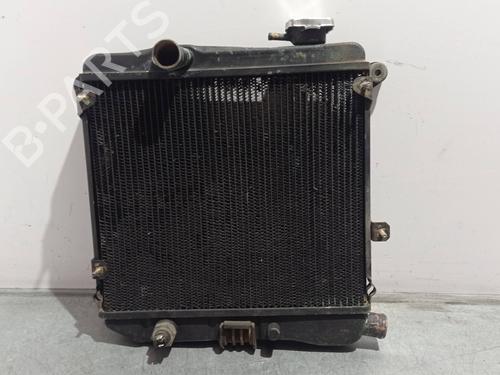 Water radiator SEAT 127 (127A)  | BP29641296M31 