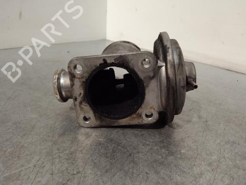 Egr BMW 3 Touring (E91) 320 d | BP20699144M69 