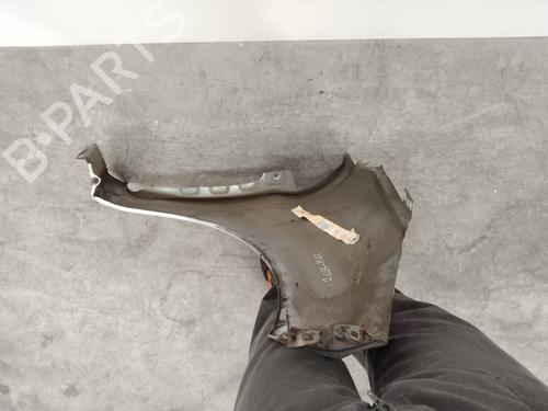 Left front fenders FORD FIESTA VI (CB1, CCN) 1.4 TDCi | BP15817637C41 