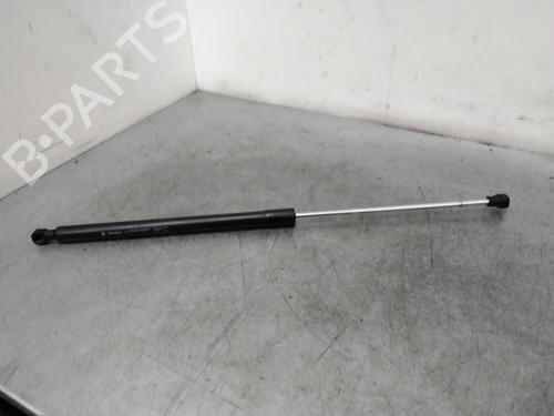 Used Hood lift support DACIA SANDERO [2008-2025]  22409564