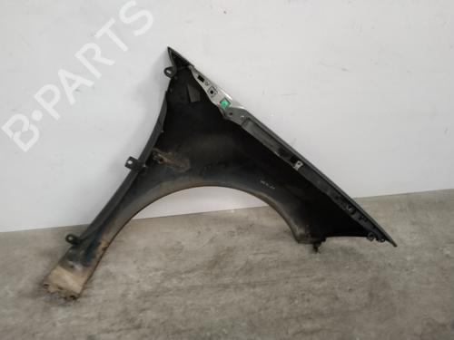 Left front fenders RENAULT MEGANE II (BM0/1_, CM0/1_) 1.5 dCi (BM02, BM13, BM2A, CM02, CM13) | BP22968445C41 