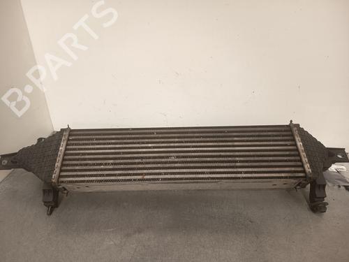 Intercooler NISSAN QASHQAI / QASHQAI +2 I (J10, NJ10, JJ10E)  | BP28061241M30 
