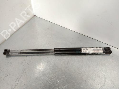 Used Tailgate lift support SEAT IBIZA III (6L1) [2002-2009]  14221684