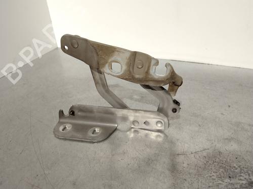 Used Hinge/Door check strap FORD FIESTA VI (CB1, CCN) 1.4 TDCi (70 hp) 15940924