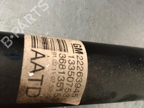 Left rear shock absorber OPEL MERIVA B MPV (S10)  | BP2687272M18 