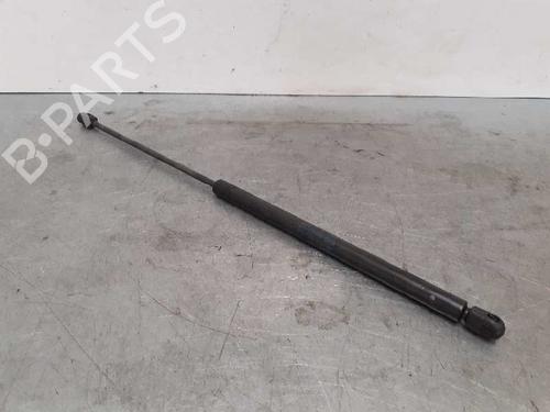 Used Hood lift support SEAT TOLEDO II (1M2) 1.9 TDI (130 hp) 14220367