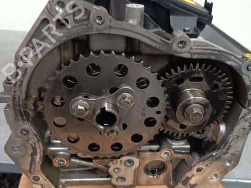 Cylinder head NISSAN QASHQAI / QASHQAI +2 I (J10, NJ10, JJ10E)  | BP28216227M5 