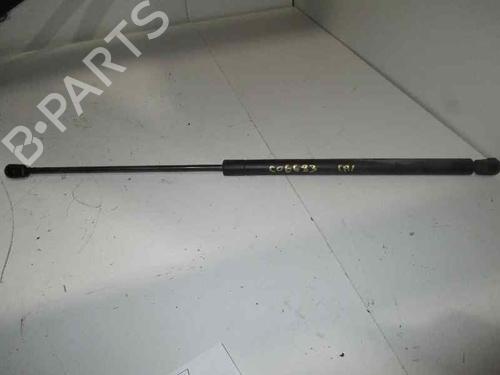 Used Hood lift support SEAT LEON (1M1) 1.9 TDI (90 hp) 14248289