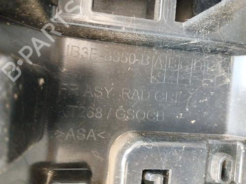 Grille FORD RANGER (TKE) | BP30382768C40