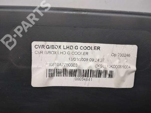 Glove box NISSAN QASHQAI / QASHQAI +2 I (J10, NJ10, JJ10E)  | BP10656272C95 