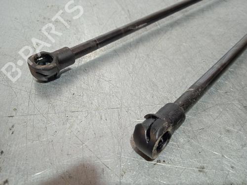 Tailgate lift support SEAT TOLEDO III (5P2)  | BP14250139C138 