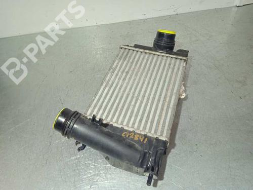 Intercooler RENAULT KADJAR (HA_, HL_) 1.5 dCi 110 (HLA3) | BP6825985M30 