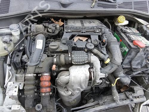 Used Engine Engine 37874437 37874437