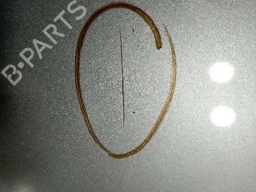 Hood CHRYSLER VOYAGER IV (RG, RS) 2.4 | BP15780901C1 