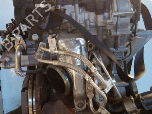 Engine FORD PUMA (J2K, CF7) | BP11717807M1 - Image 4