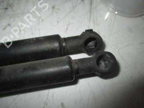 Hood lift support CITROËN XSARA (N1)  | BP14248287C139 
