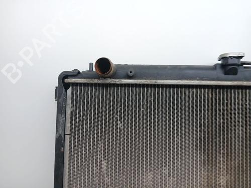 Water radiator NISSAN PATHFINDER III (R51) 2.5 dCi 4WD | BP31194009M31
