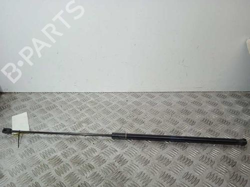 Used Hood lift support AUDI A5 Sportback (8TA) 2.7 TDI (190 hp) 14251034