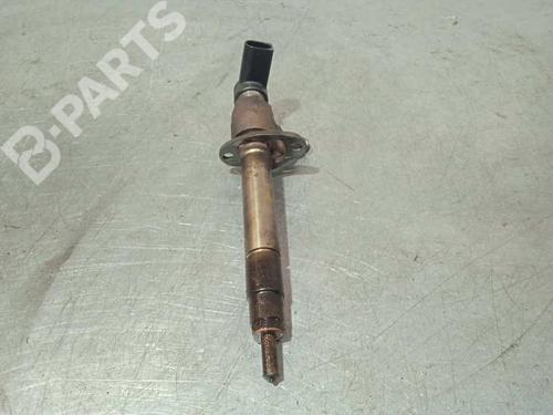 Injector LAND ROVER RANGE ROVER SPORT I (L320) 2.7 D 4x4 | BP6888987M100 
