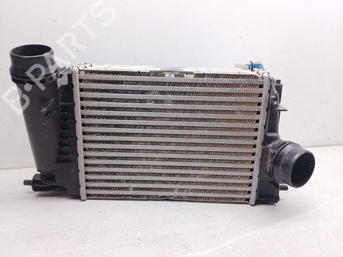Intercooler RENAULT MEGANE IV Grandtour (K9A/M/N_) 1.3 TCe 140 (K9NB) (140 hp) 25001647
