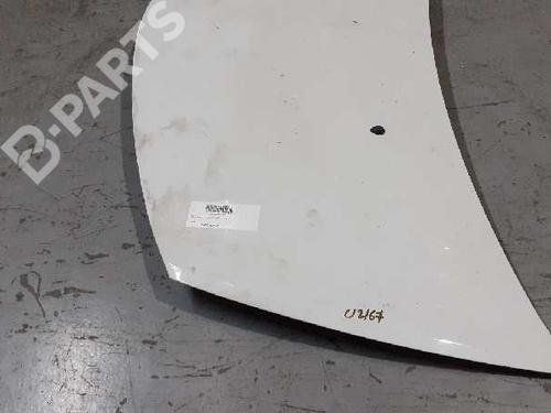 Hood RENAULT CLIO III (BR0/1, CR0/1)  | BP7969186C1 