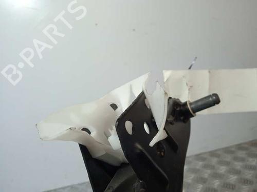 BP12470161I19 | Break pedal AUDI A5 Sportback (8TA) 2.7 TDI BP12470161I19