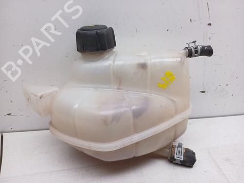Used Expansion tank RENAULT KADJAR (HA_, HL_) 1.3 TCe 140 (HLNB, HLN1) (140 hp) 24618008