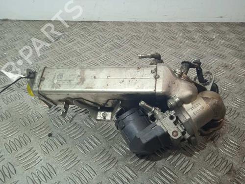 Egr BMW 3 (E90)  | BP9975412M69  - Image 7