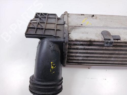 Intercooler BMW 3 Touring (E91) 325 d | BP31823972M30 