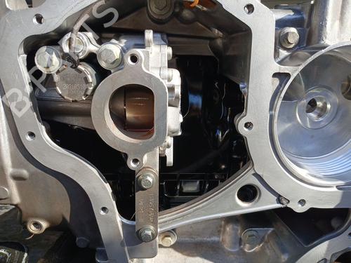 Engine RENAULT ARKANA I (LCM_, LDN_) 1.3 TCe 140 (LDN0) | BP25379675M1 