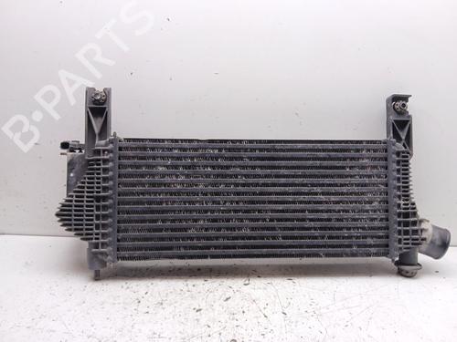 Intercooler NISSAN PATHFINDER III (R51) 2.5 dCi 4WD | BP38096000M30 - Image 3