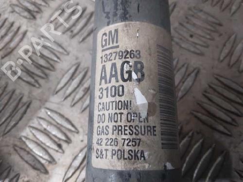 Left rear shock absorber OPEL ASTRA J (P10)  | BP10520539M18 