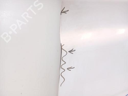 Left front door MERCEDES-BENZ VITO / MIXTO Van (W639) 110 CDI (639.601, 639.603, 639.605) | BP31160025C2 