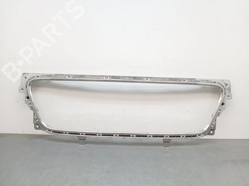 Used Grille BENTLEY FLYING SPUR (4W_) 6.0 W12 (626 hp) 30618685