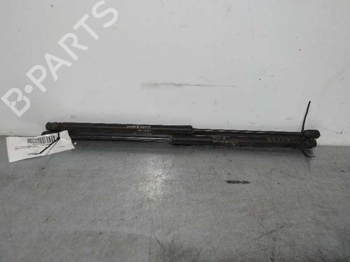 Used Hood lift support FIAT STILO (192_) 1.9 D Multijet (100 hp) 14248256