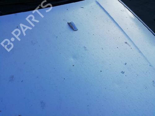 Hood FORD TRANSIT CONNECT (P65_, P70_, P80_)  | BP9643875C1