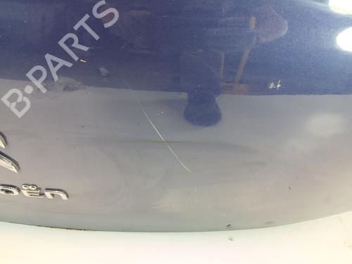 Tailgate CITROËN C3 II (SC_) 1.4 HDi 70 (SC8HZC, SC8HR0, SC8HP4) | BP21517964C6 