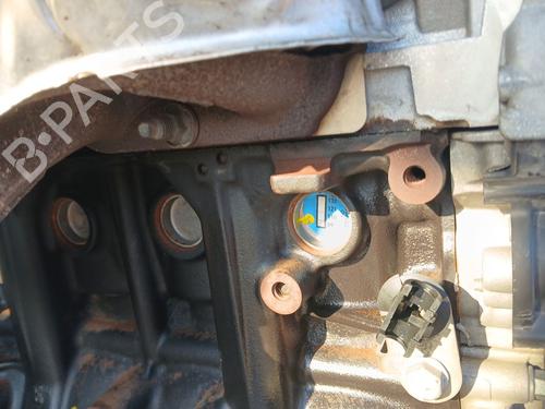 Engine RENAULT CLIO II (BB_, CB_)  | BP13634551M1 