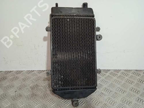 Køler KAWASAKI MOTORCYCLES VN VN 900 Classic (VN900B) | BP24669409M31 
