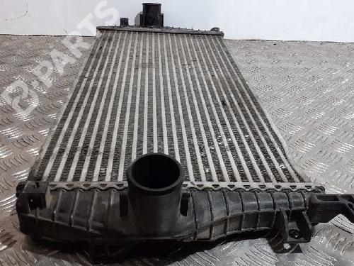 Intercooler KIA CARENS III MPV (UN) 2.0 CRDi 115 | BP8925810M30 